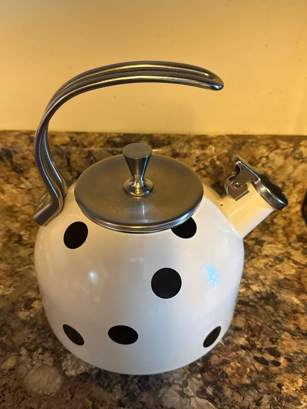 kate spade White and Black Polka Dot Stovetop Kettle with Stainless Accents